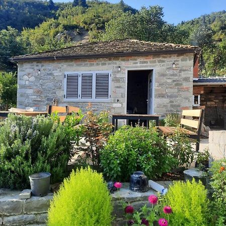 Bujtina Lugina E Vjoses Villa Përmet Exterior foto