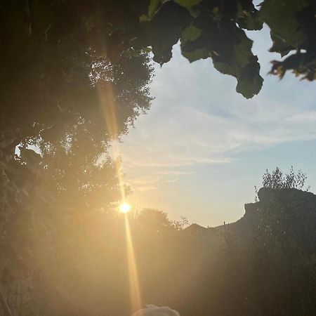 Bujtina Lugina E Vjoses Villa Përmet Exterior foto
