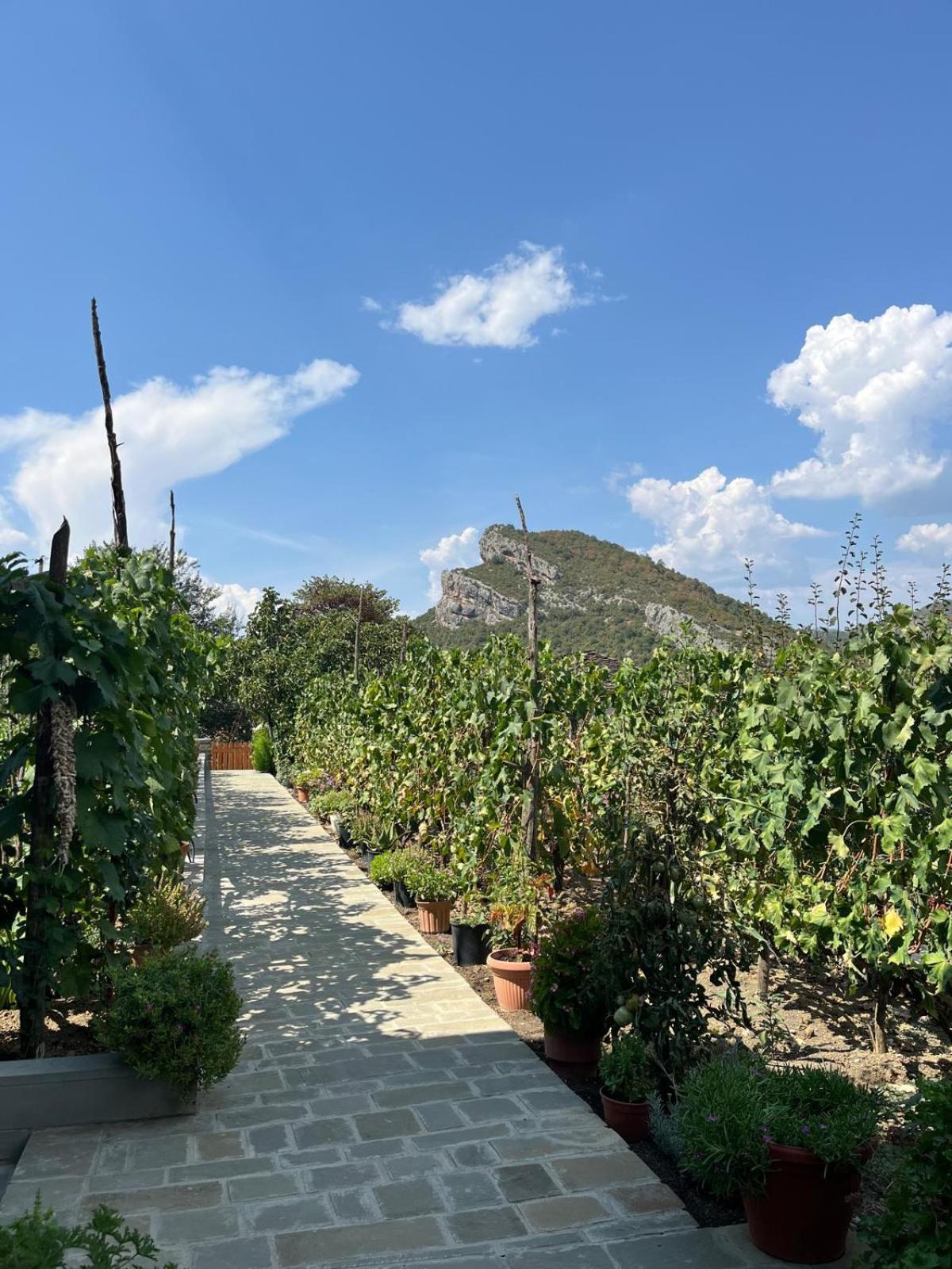 Bujtina Lugina E Vjoses Villa Përmet Exterior foto